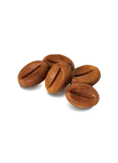 커피콩 빵