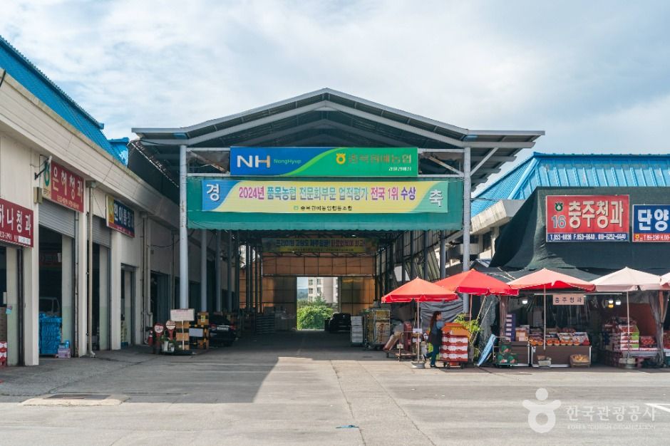 충주농산물종합시장(중앙청과시장) 시장 사진