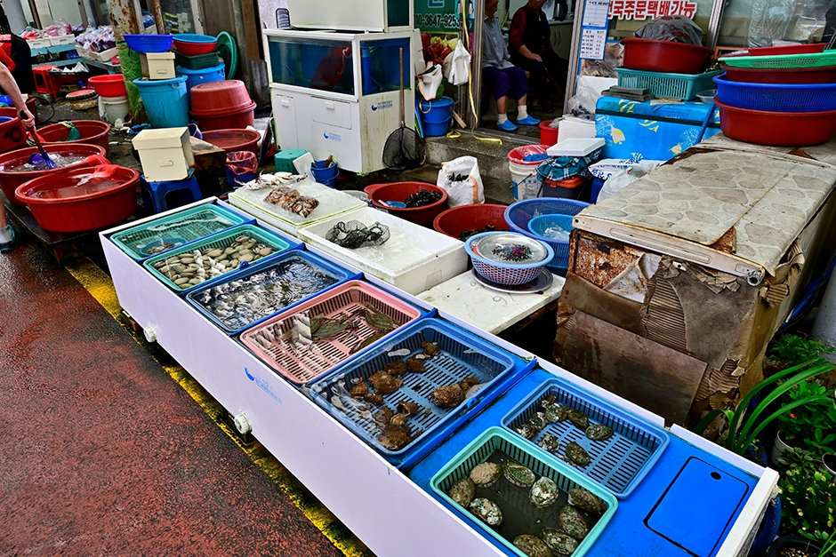 경상남도_창원시_진동시장_06