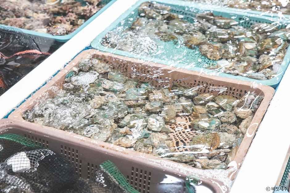 제주_모슬포중앙시장 (4).jpg