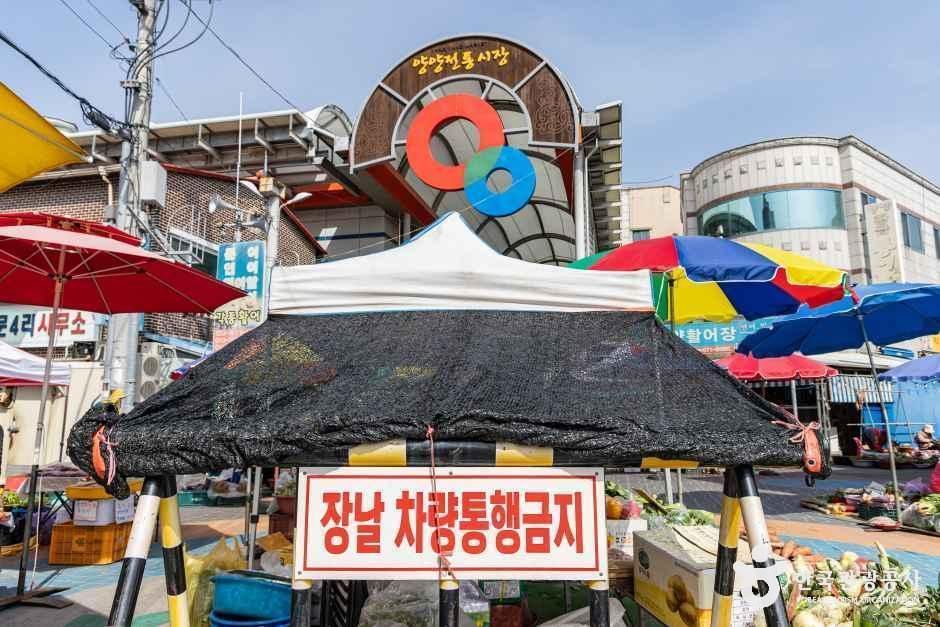 양양_양양전통시장 (4,9일) (1).jpg