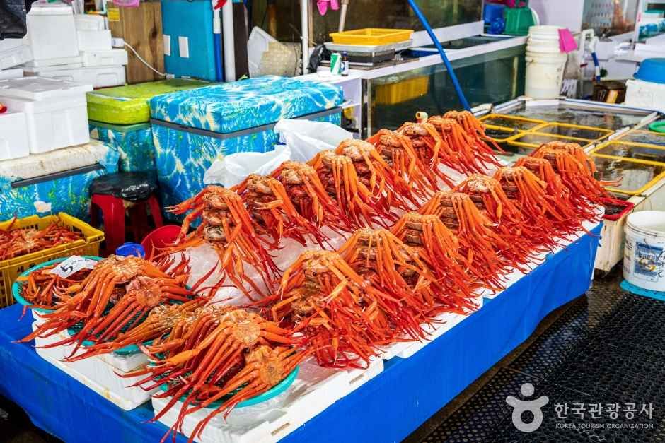 주문진항 수산물 좌판 풍물시장