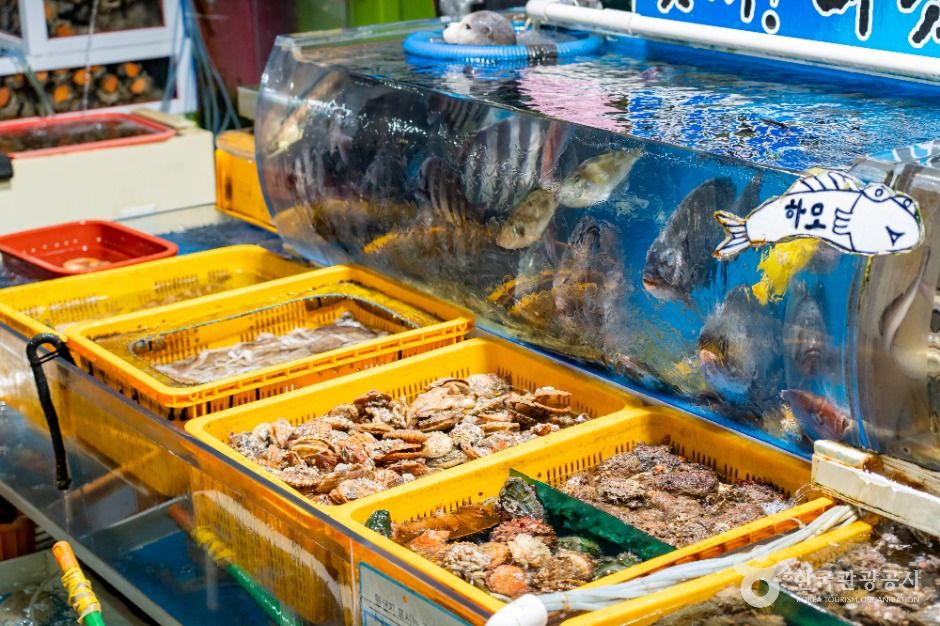 여수_여수수산물특화시장 (4)