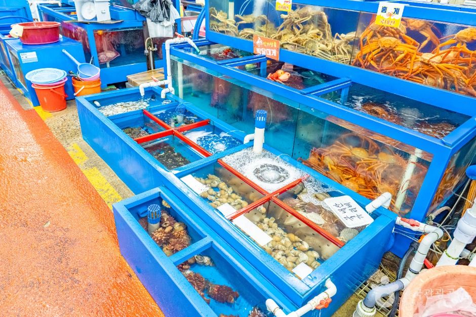 울진_죽변수산물시장 (4)