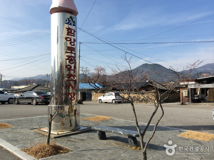 경남_함양_토종약초시장04