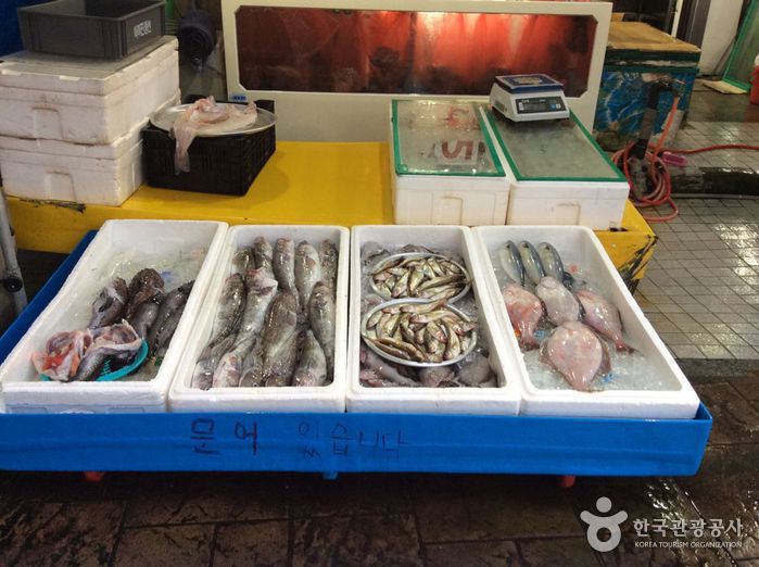 강원_강릉_강릉 주문진종합시장03