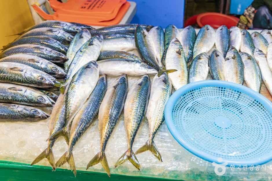 제주_동문수산시장 (6).jpg
