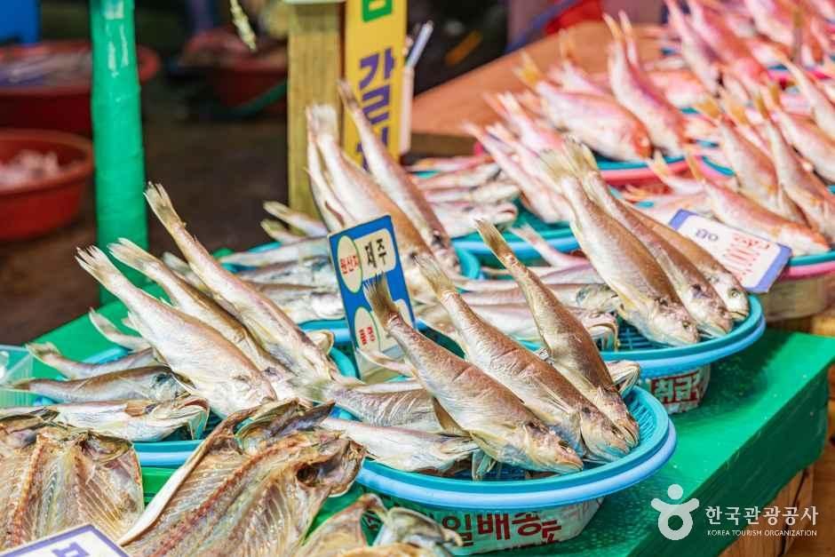 제주_동문수산시장 (7).jpg
