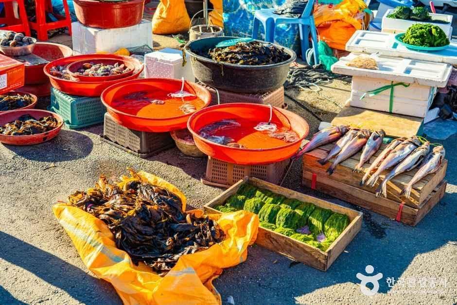 완도_완도장 (5, 10일) (1).jpg