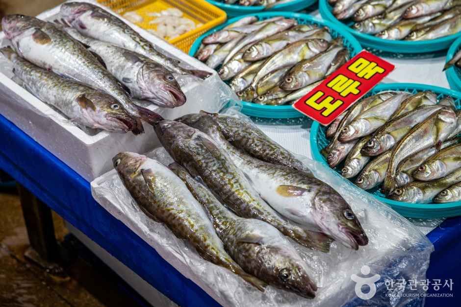 주문진항 수산물 좌판 풍물시장